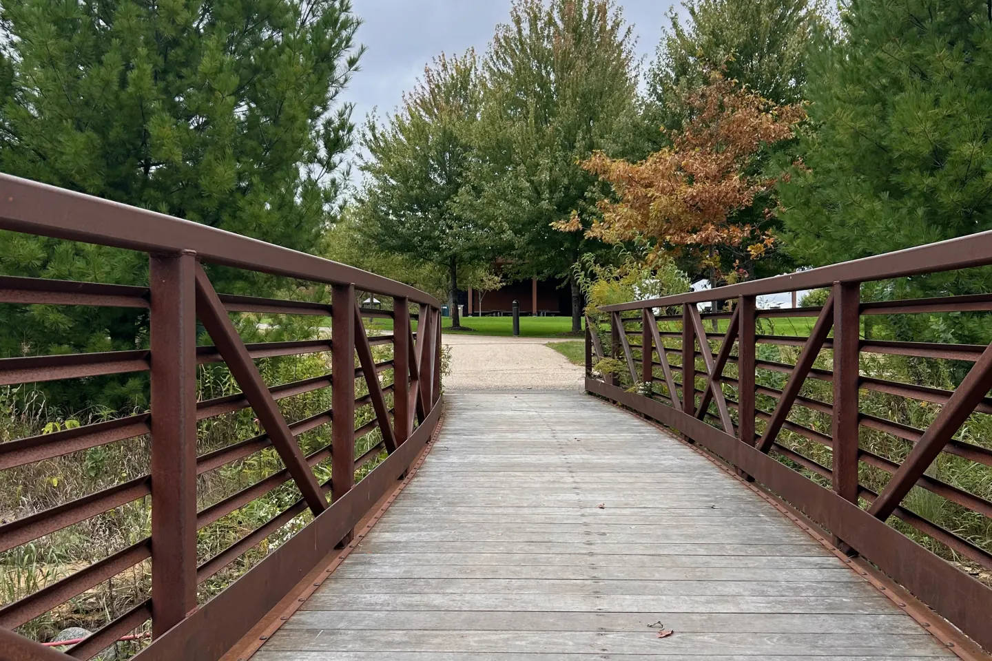 A wooden footbridge leading toward the shelter through young trees